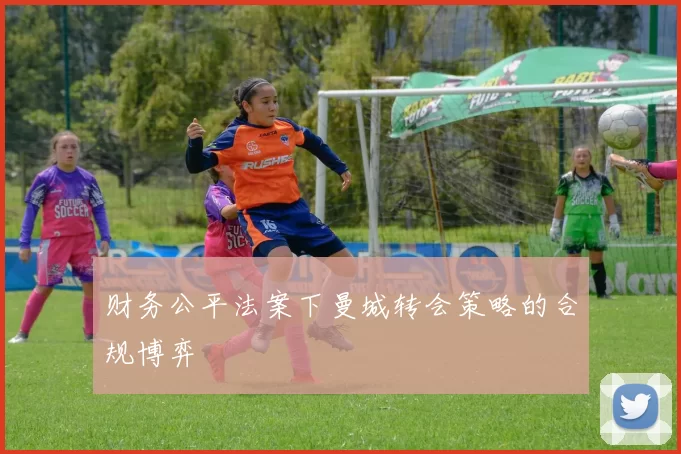 财务公平法案下曼城转会策略的合规博弈