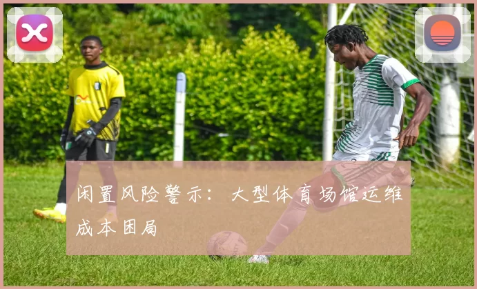 闲置风险警示：大型体育场馆运维成本困局