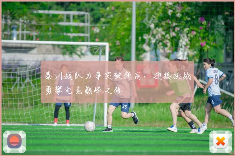 泰州战队力争突破新高，迎接挑战勇攀电竞巅峰之路